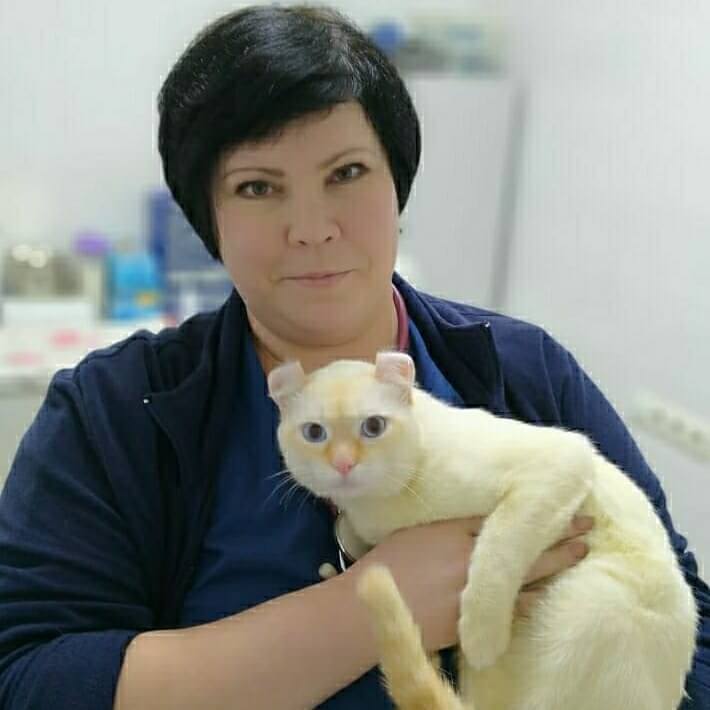 Ветеринарная клиника в Алматы: Ветклиника в Алматы