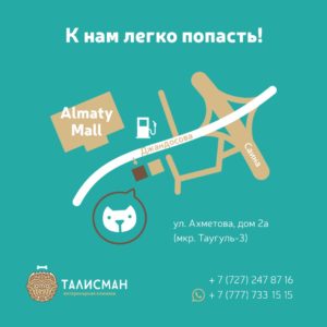 Контакты ветеринарной клиники в Алматы, Ветеринарная клиника Талисман