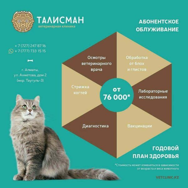 Страховка для животных в Алматы