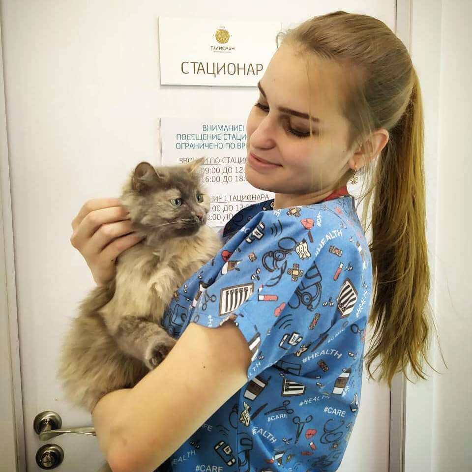 Ветеринарная клиника в Алматы: Ветврачи в Алматы