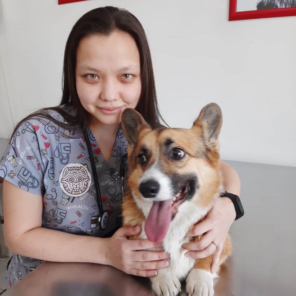Ветеринарная клиника в Алматы: Ветклиника в Алматы